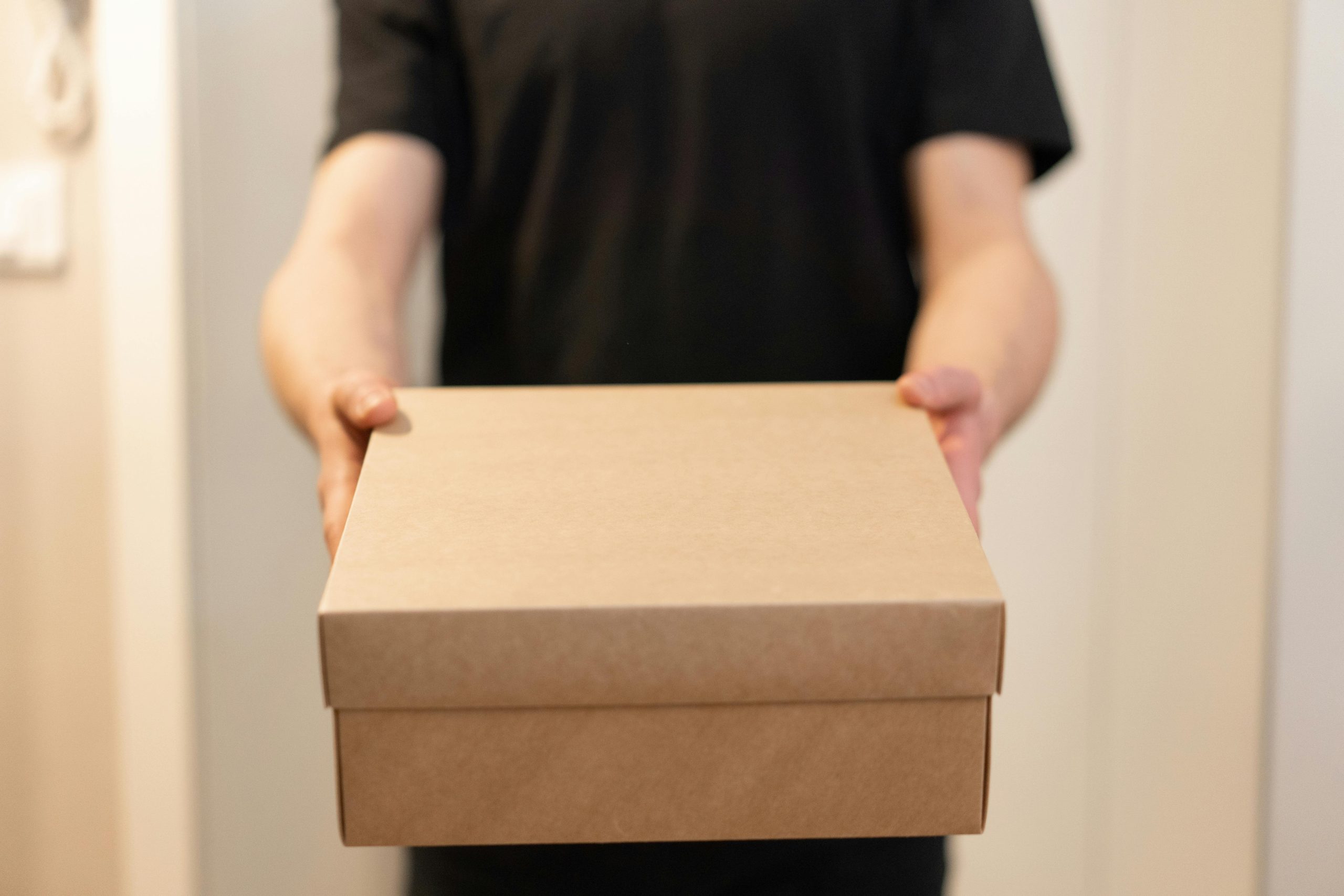Best Toronto Movers Offering Packing, Moving, and Storage Solutions